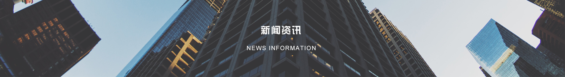 新闻动态